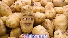 爆笑土豆版下定决心忘记你,土豆的表情太逗了 爆笑土豆版下定决心忘记你,土豆的表情太逗了