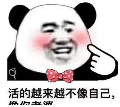  沙雕表情包之强行撩妹土味情话不想闯江湖了,只想闯姑娘的心房