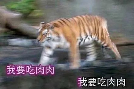  表情包沙雕日常看到这个以往草的人考试复习的内容会全忘掉