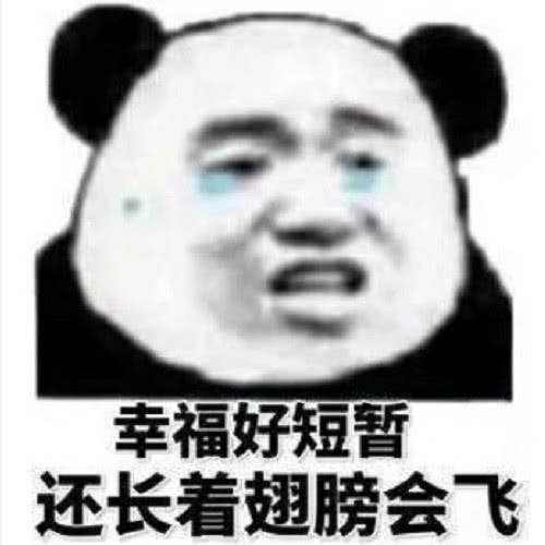  全网通用沙雕表情,每个都是精选,斗图必备