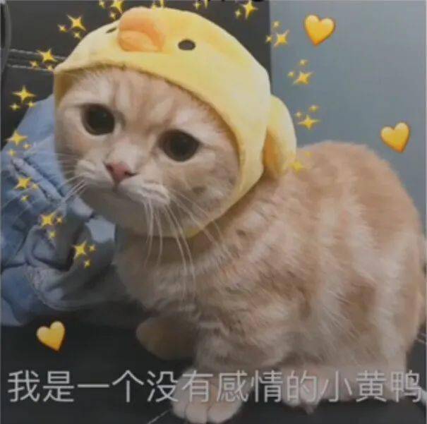  发给你男友的猫咪表情包
