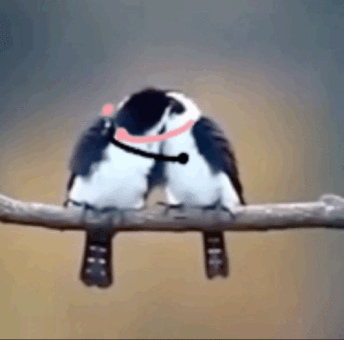  给动物画手系列表情包二