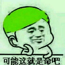  起点下载站每日更新一键转帖论坛ubb代码代码转换器
