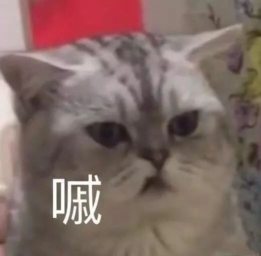  表情包如何用优雅的眼神瞪人