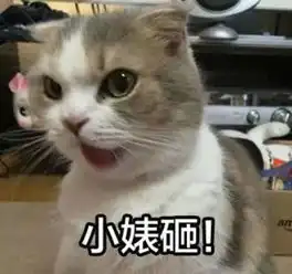  大精彩世界