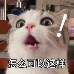 猫咪表情包合集怎么可以这样 猫咪表情包合集怎么可以这样