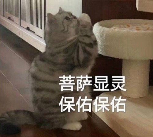 恋爱中的表情包pick