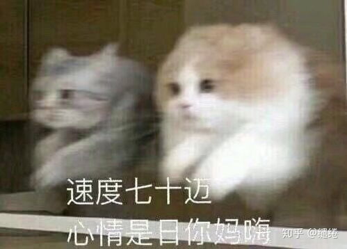 表情包形容你专业图片幻