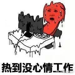  今日鲜闻外卖店使用菜肴包长生疫苗续种补种30度没空调辞职魅族16发布售价2698元起
