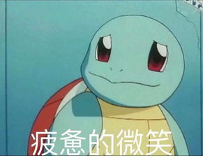  小智等人招牌精灵里,为何只有杰尼龟的表情包火了