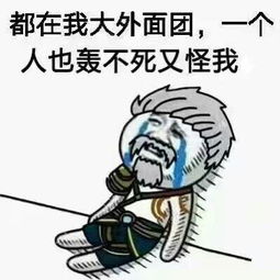  王者荣耀表情包那些年王者荣耀英雄们背过的锅游戏频道