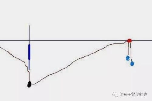  小小铅坠大有玄机,我只需动一动它,不吹不黑,钓了一条又一条