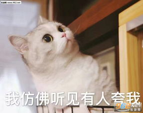  小孩子不可以看表情包反抗是不敢反抗的只能偷偷略略略这样子表情包下载乐游网游戏下载