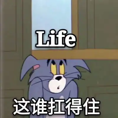 岍妍猫和老鼠系列表情包3 岍妍猫和老鼠系列表情包3