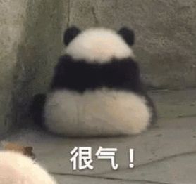 明星在他面前,毫无尊严 明星在他面前,毫无尊严