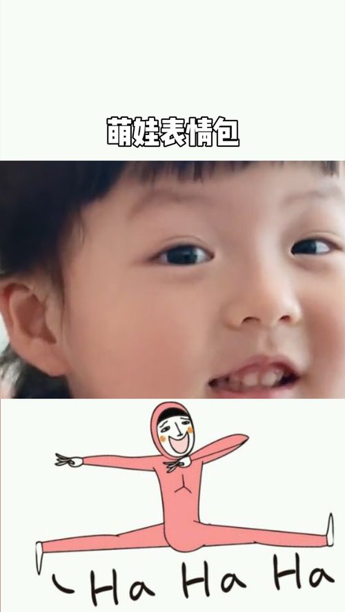  表情包你可真行