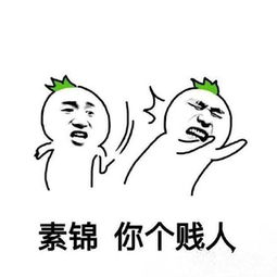 素锦太坏了表情包什么梗三生三世素锦结局惨爆了 素锦太坏了表情包什么梗三生三世素锦结局惨爆了