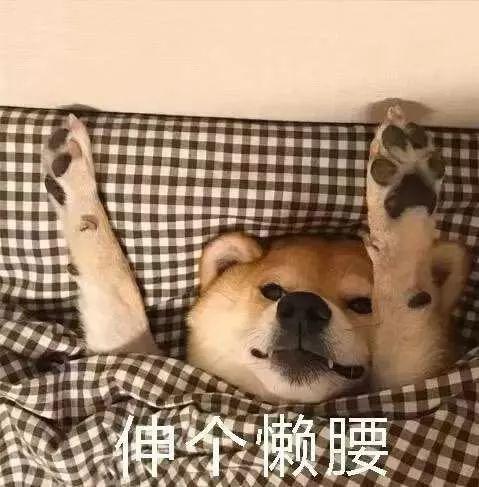  冷冷冷冷冷冷冷冷冷冷冷冷冷冷冷冷冷冷