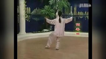  24式太极