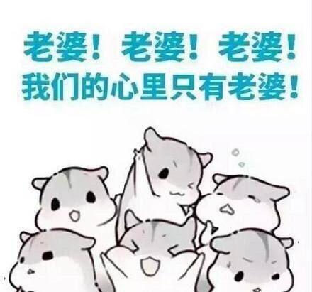 老公要抱抱表情包如何请