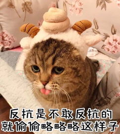  q宝大赛vol.29新春旺宝旺年拍娃新姿势了解一下