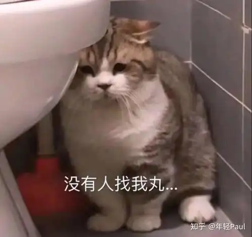 可以帮我推荐几句土味情话嘛 可以帮我推荐几句土味情话嘛