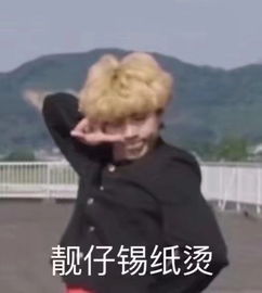  最近这个梗