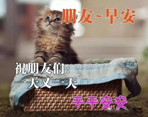  2021最新早安问候表情图片朋友圈群发温馨的早安祝福语大全