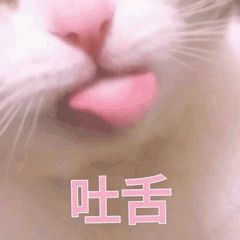  史上最全多肉防鸟大法,只有你做不到没有肉友想不到的