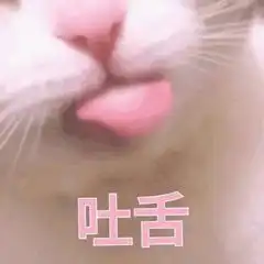 史上最全多肉防鸟大法,只有你做不到没有肉友想不到的 史上最全多肉防鸟大法,只有你做不到没有肉友想不到的