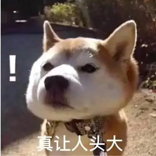 沙雕表情包给你个眼神自己体会 沙雕表情包给你个眼神自己体会