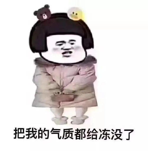  新年寒潮大礼包明日到达你还不快准备好你的小被子