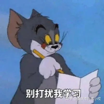  专升本成功了是一种怎样的体验