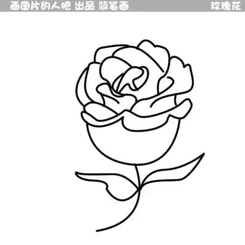  玫瑰花简笔画怎样画
