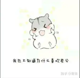 专业土情话 专业土情话