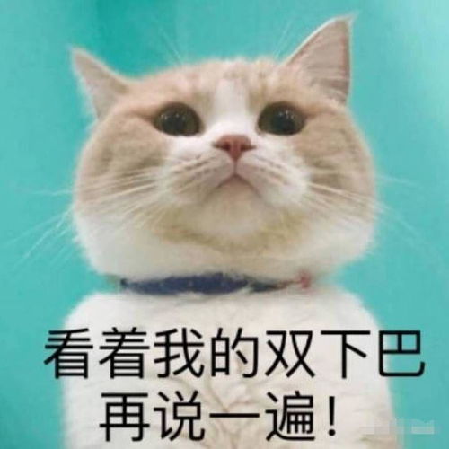  有哪些可以很好表现愤怒想骂人的表情包