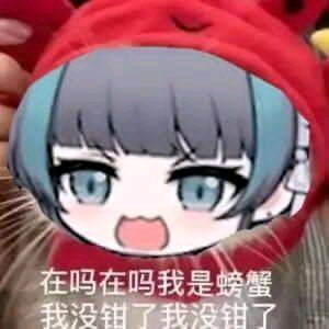  群友的奇怪表情包21