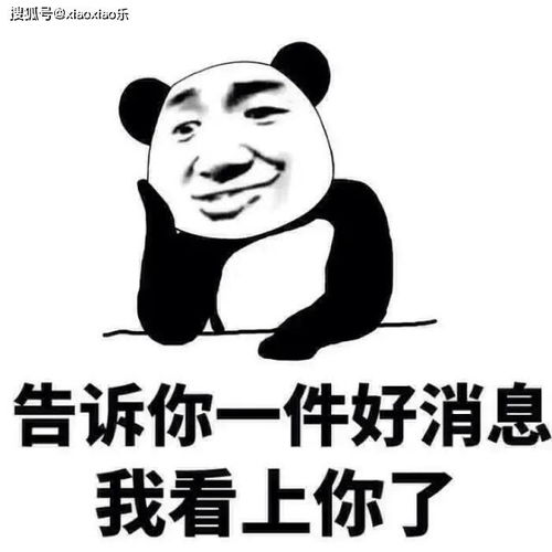  很冷,很逗,很搞笑的段子,笑死人不偿命