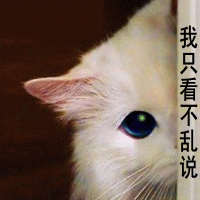  猫的母爱