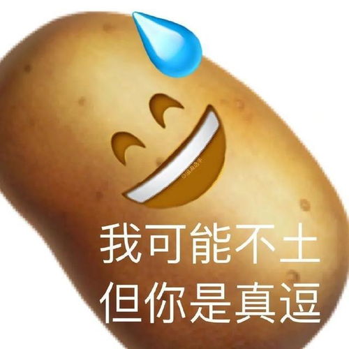 厦门大风黄色预警仅剩6,一秒入冬清明雨纷纷吗