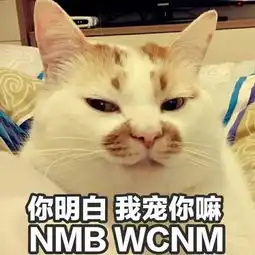 因为扔猫,她从90万粉知名女主播变成了虐猫犯 因为扔猫,她从90万粉知名女主播变成了虐猫犯