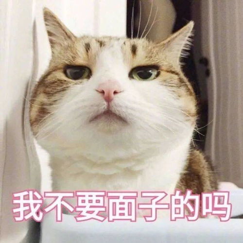  天津相声广播听取哇声一片