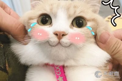  成都双流富豪实业有限责任公司
