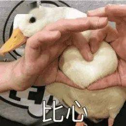  热回夏天这周温州最高29网友冬天迷路了