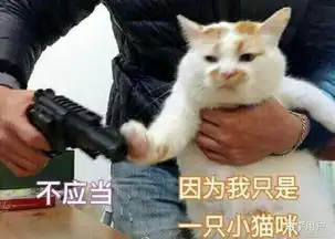 可爱喵咪表情包蔡徐坤