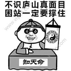 王者荣耀卸载表情包队友