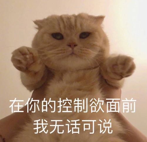 眼神表情包图片
