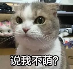  哈哈哈哈嗝,这款雨衣竟然火了穿上立马变成花仙子