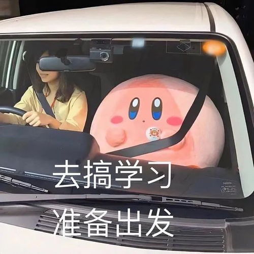 表情包形容你专业图片开