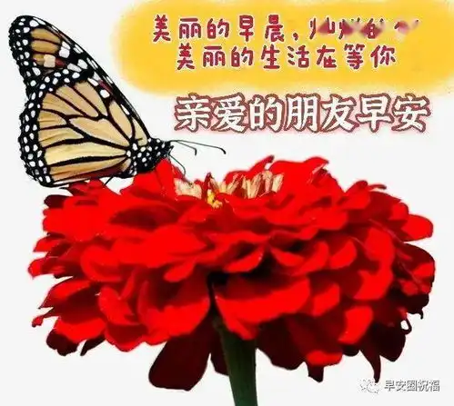 8张最新中老年早安祝福表情包不用打字聊天的早上好动态祝福动态表情图片 8张最新中老年早安祝福表情包不用打字聊天的早上好动态祝福动态表情图片
